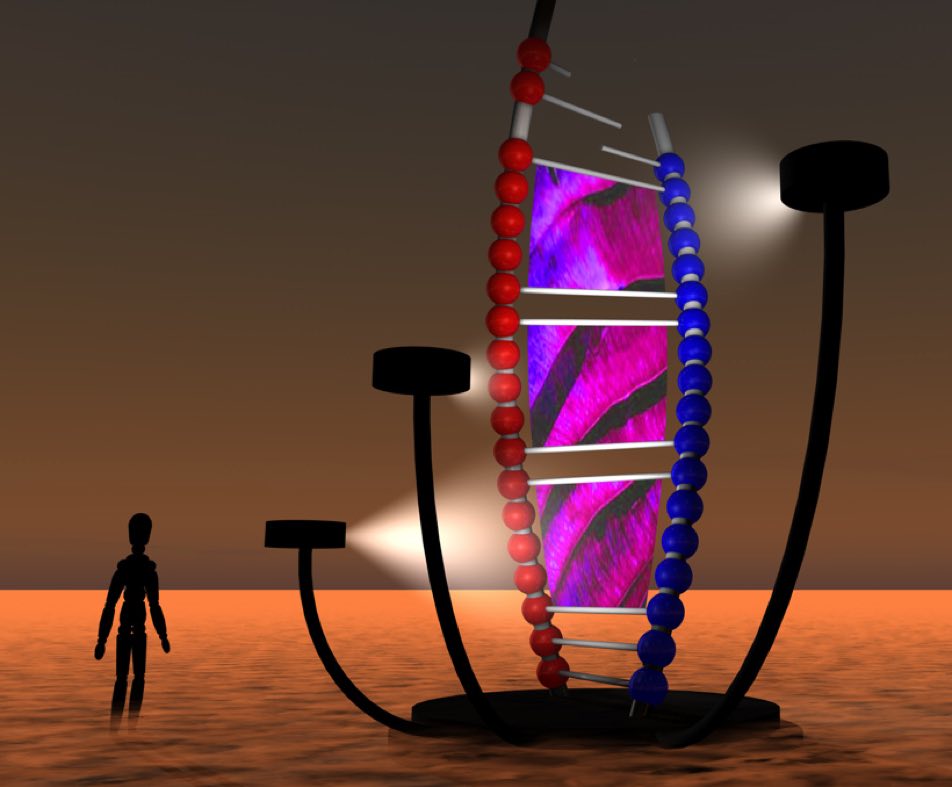 Burning Man Helix Sculpture Project