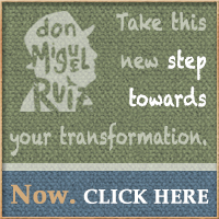 don Miguel Ruiz New Agreements for Life Web Banners