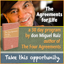 don Miguel Ruiz New Agreements for Life Web Banners