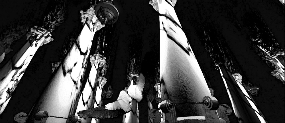 Dr. Joe Rubino's The Seven Blessings Book Props