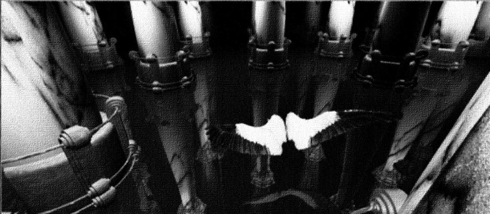 Dr. Joe Rubino's The Seven Blessings Book Props