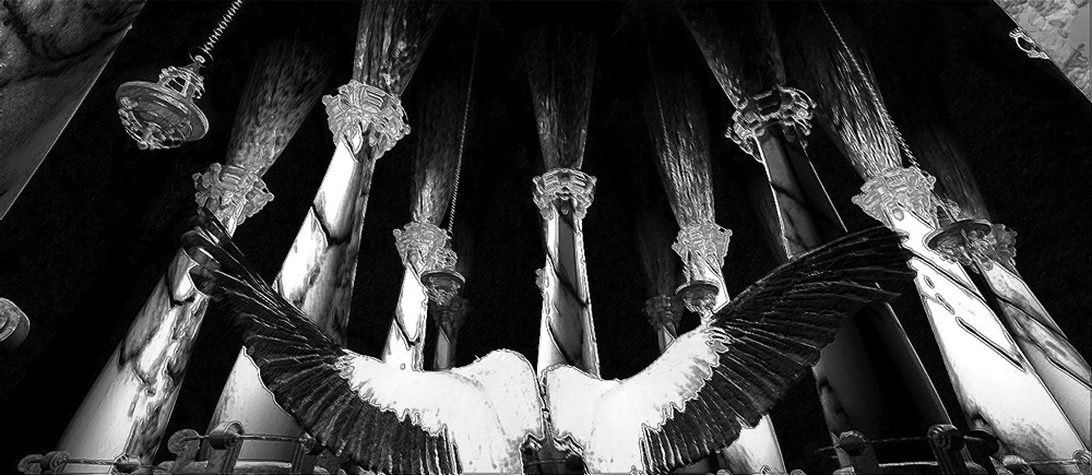 Dr. Joe Rubino's The Seven Blessings Book Props