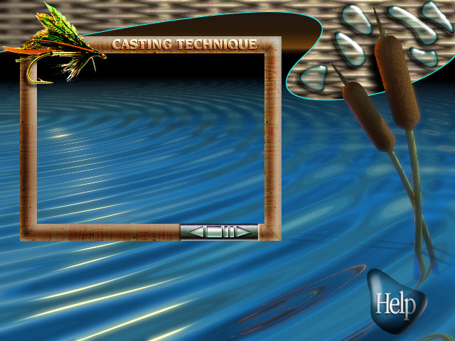 Fly Fishing Game Interface