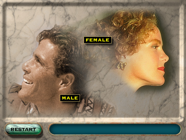 Whats in the Mail for You Interactive Exhibit