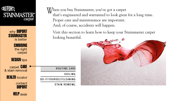 DuPont StainMaster Web Site Design