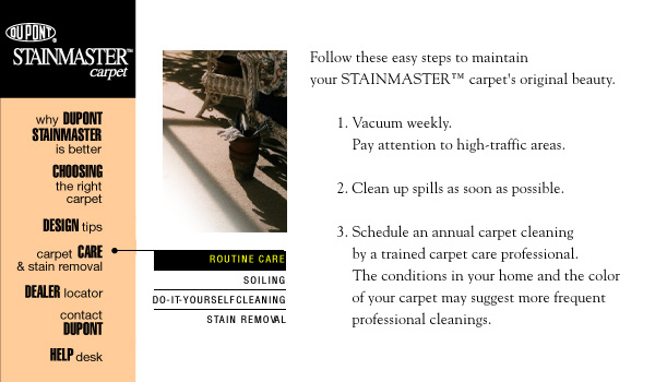 DuPont StainMaster Web Site Design