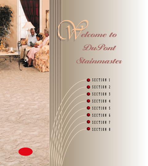 DuPont StainMaster Web Site Design