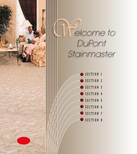 DuPont StainMaster Web Site Design