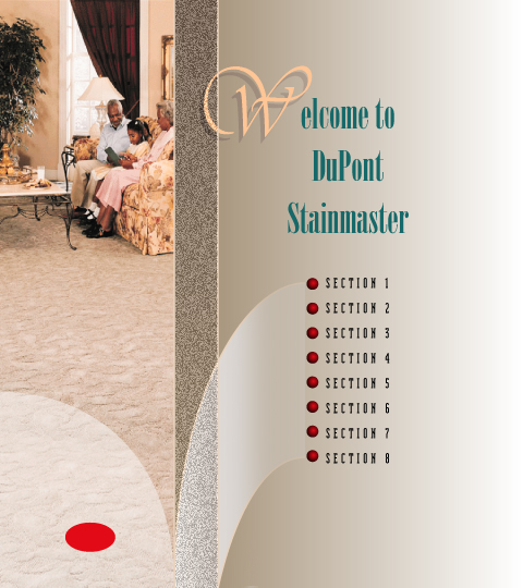 DuPont StainMaster Web Site Design