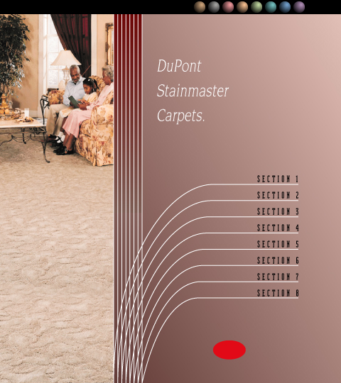 DuPont StainMaster Web Site Design