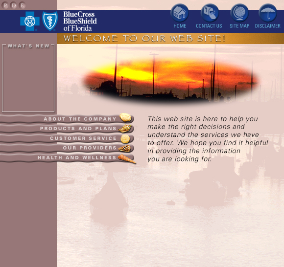 Blue Cross Blue Shield Web Site Concepts
