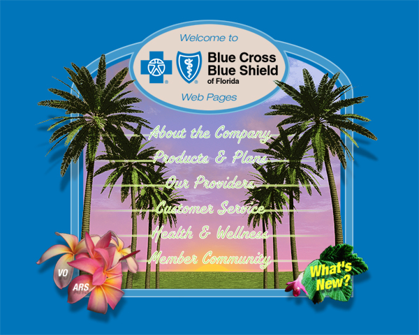 Blue Cross Blue Shield Web Site Concepts