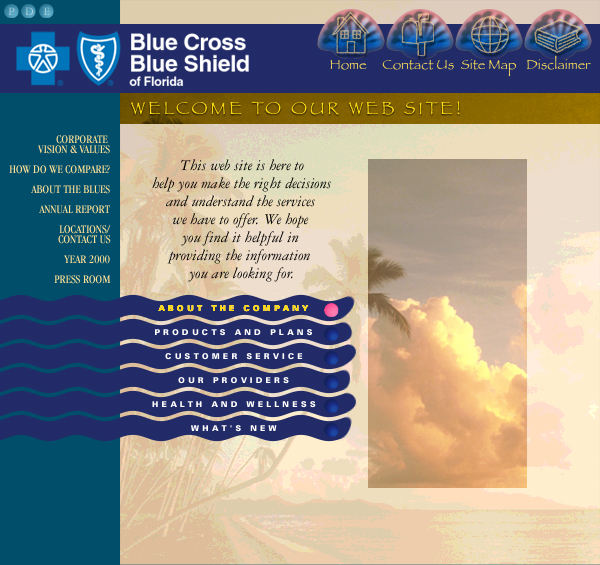 Blue Cross Blue Shield Web Site Concepts