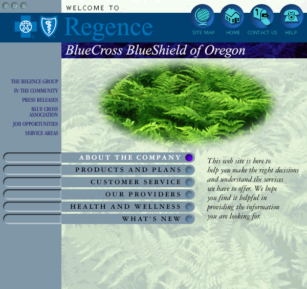 Blue Cross Blue Shield Web Site Concepts