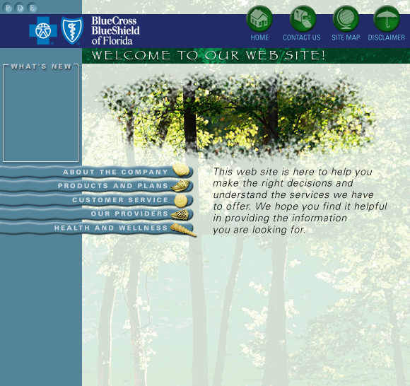 Blue Cross Blue Shield Web Site Concepts