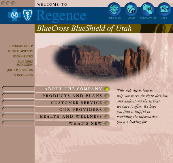 Blue Cross Blue Shield Web Site Concepts