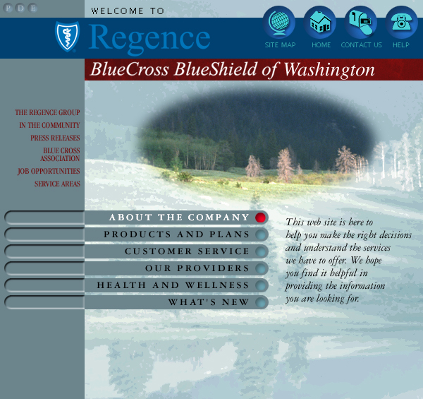 Blue Cross Blue Shield Web Site Concepts