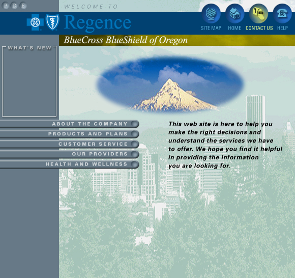 Blue Cross Blue Shield Web Site Concepts