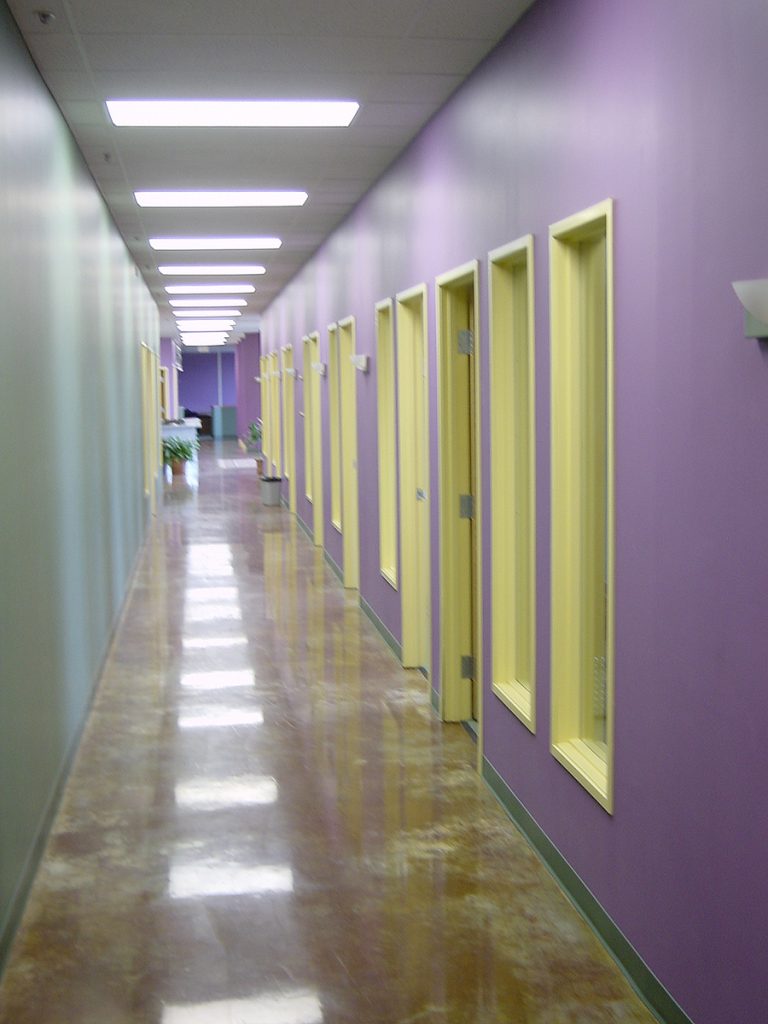 EyeVelocity Offices and Studio