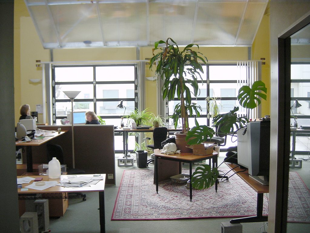 EyeVelocity Offices and Studio