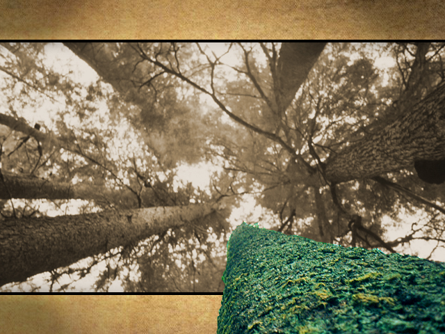 Pioneers of the Possible Presentation