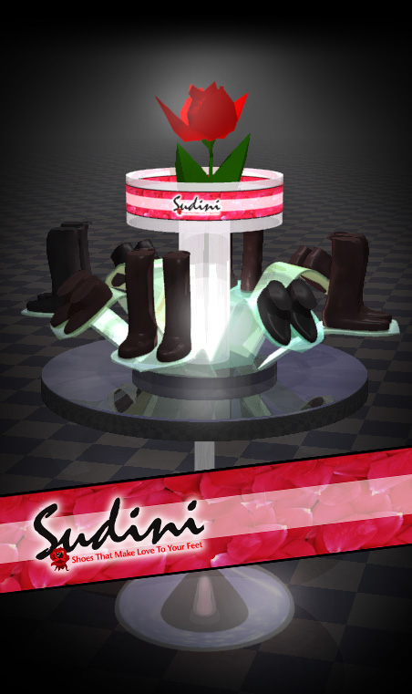 Sudini Shoes Retail Display Concept