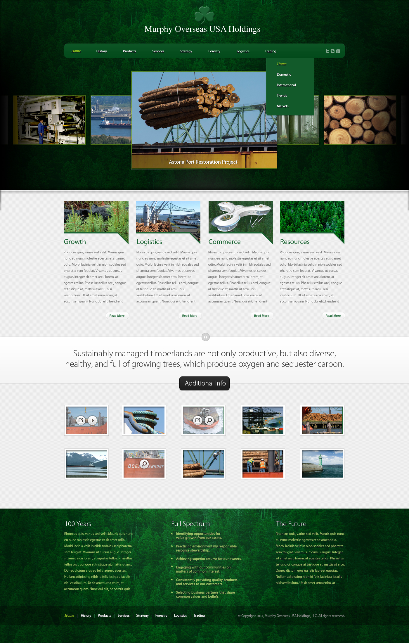 Murphy Holdings Web Site Design