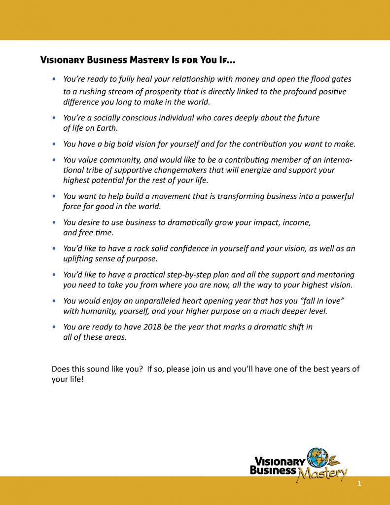 Visionary Business Mastery Brochure