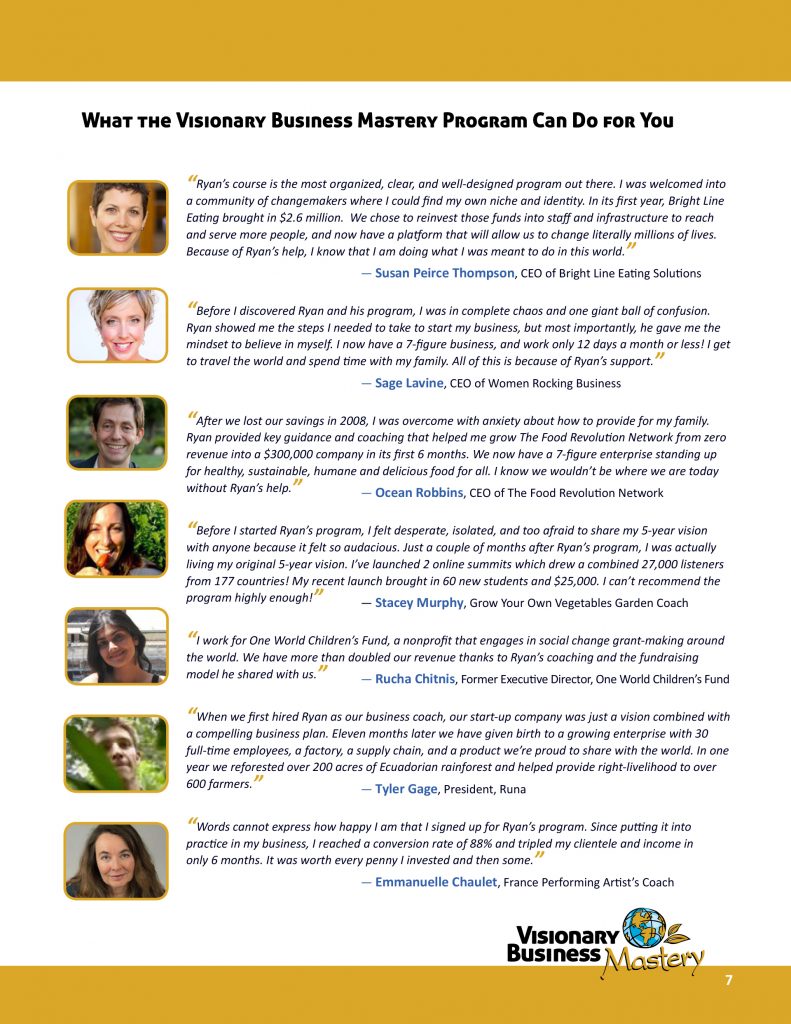 Visionary Business Mastery Brochure