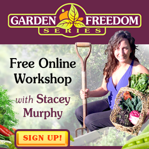 Stacey Murphy Garden Freedom Web Banners