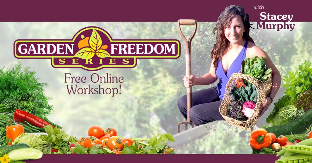 Stacey Murphy Garden Freedom Web Banners