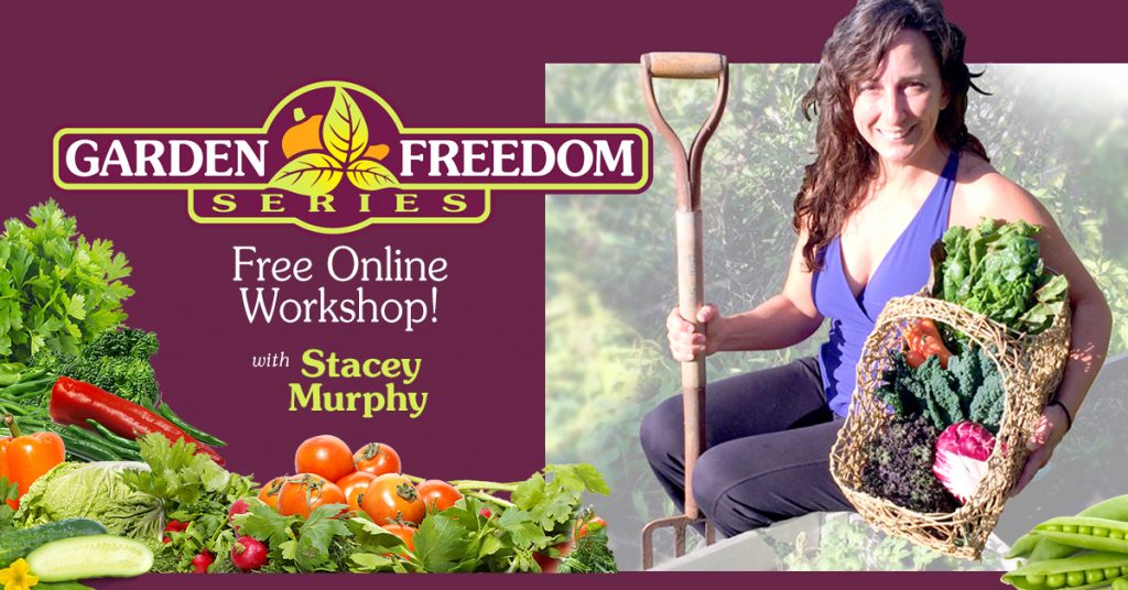 Stacey Murphy Garden Freedom Web Banners