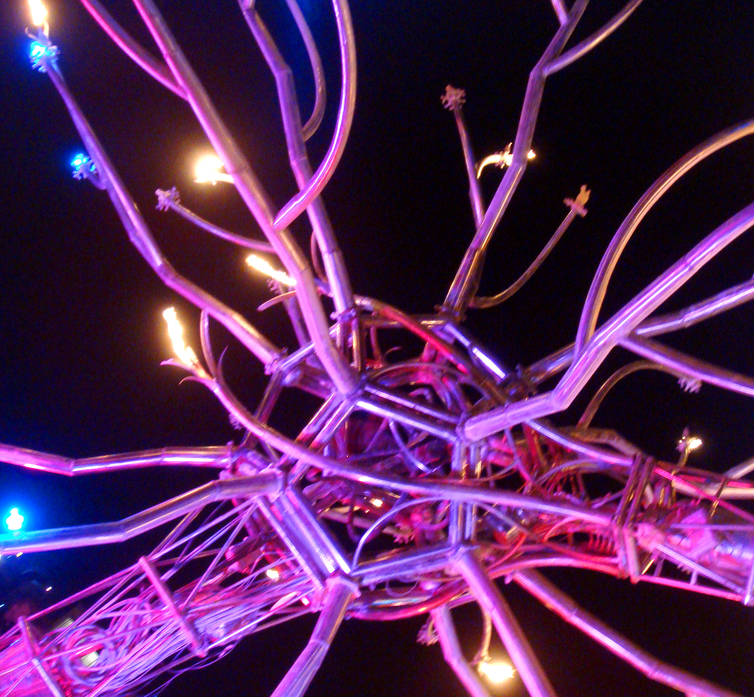 Burning Man 2009 - Cliff Schinkel Photograph