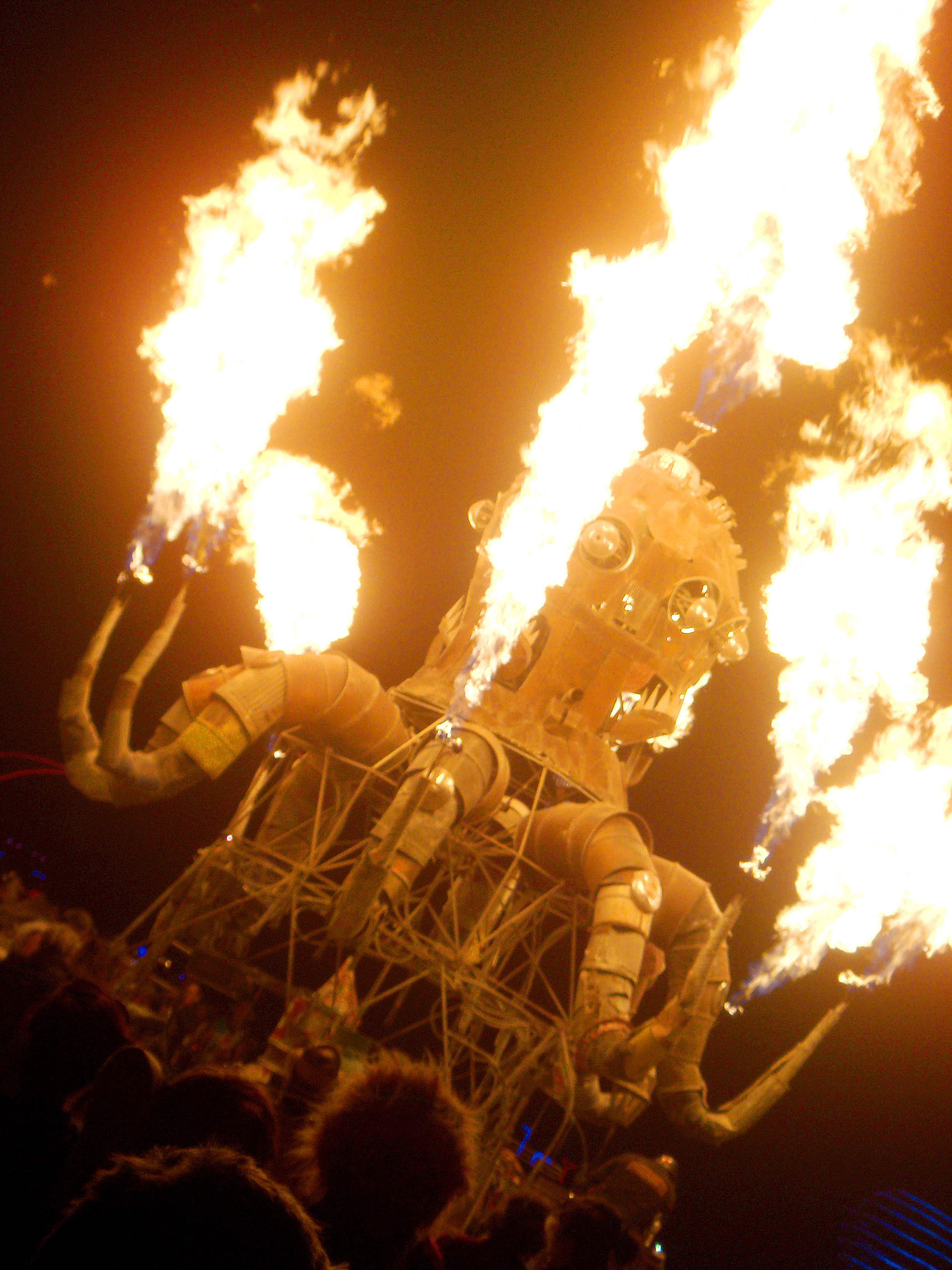 Burning Man 2012 - Cliff Schinkel Photograph