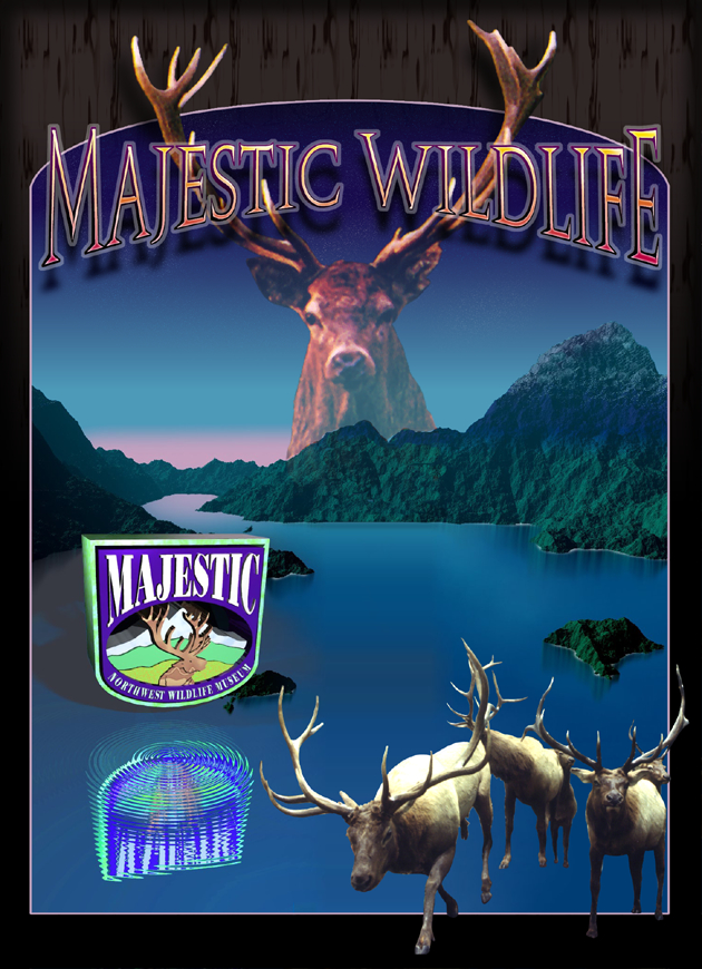 Majestic Wildlife Museum