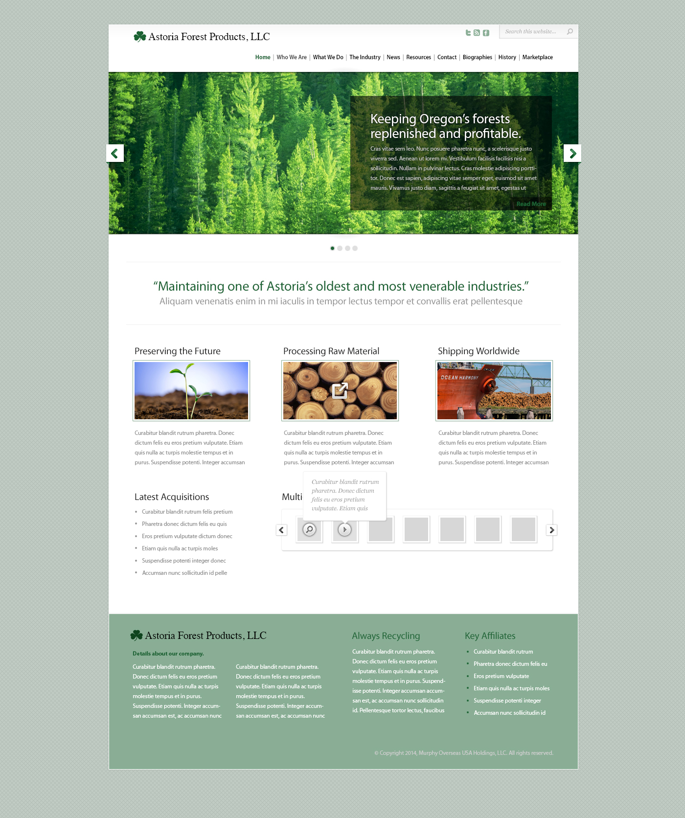 Astoria Forest Products Web Site