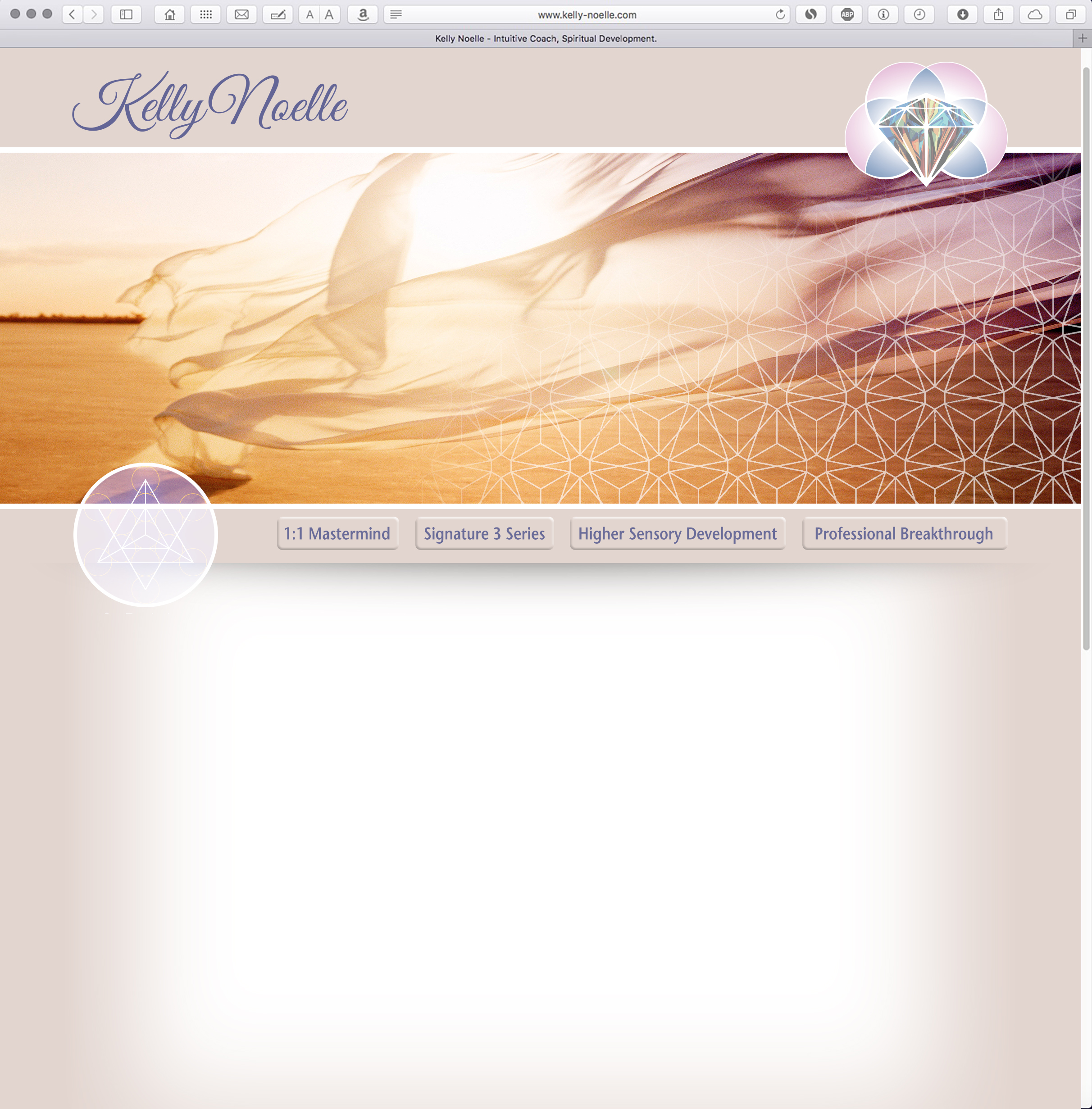 Kelly Noelle Web Site Design