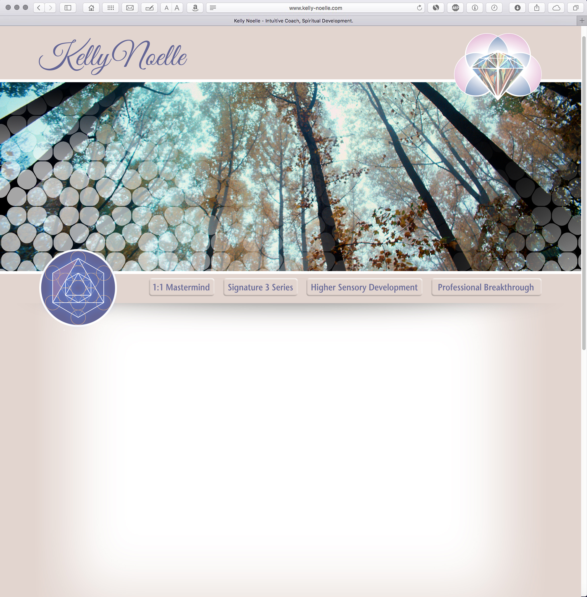 Kelly Noelle Web Site Design