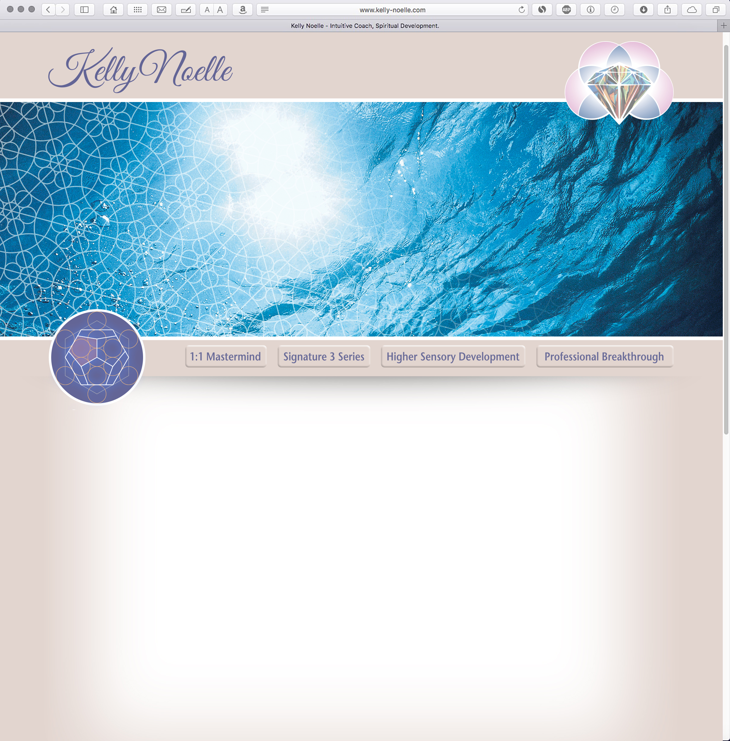 Kelly Noelle Web Site Design