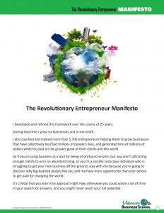 The Revolutionary Entrepreneur Manifesto eBook