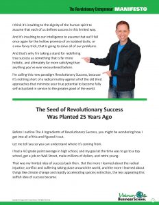 The Revolutionary Entrepreneur Manifesto eBook