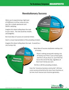The Revolutionary Entrepreneur Manifesto eBook