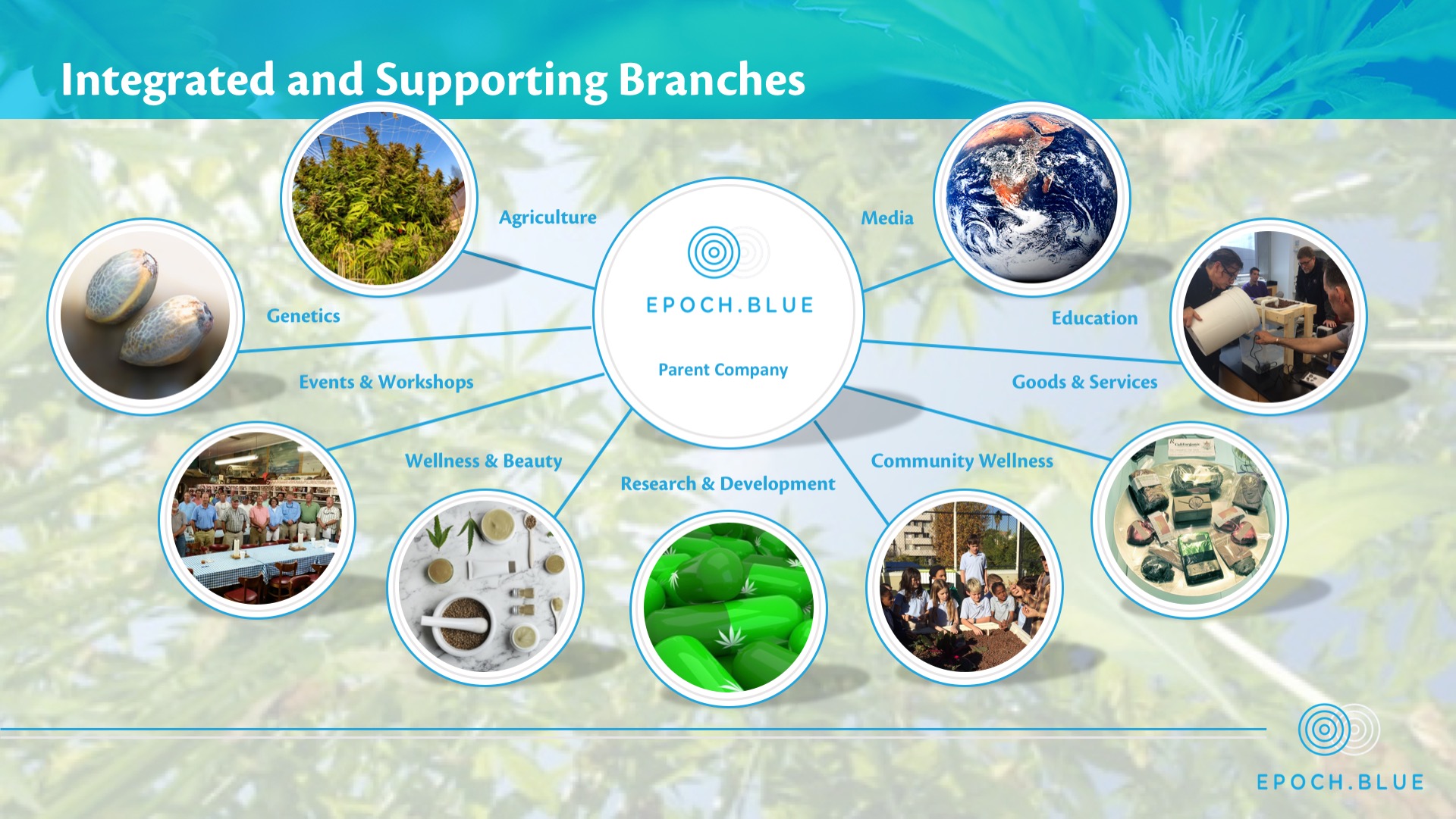 Epoch Blue Cannabis Investment Presentation