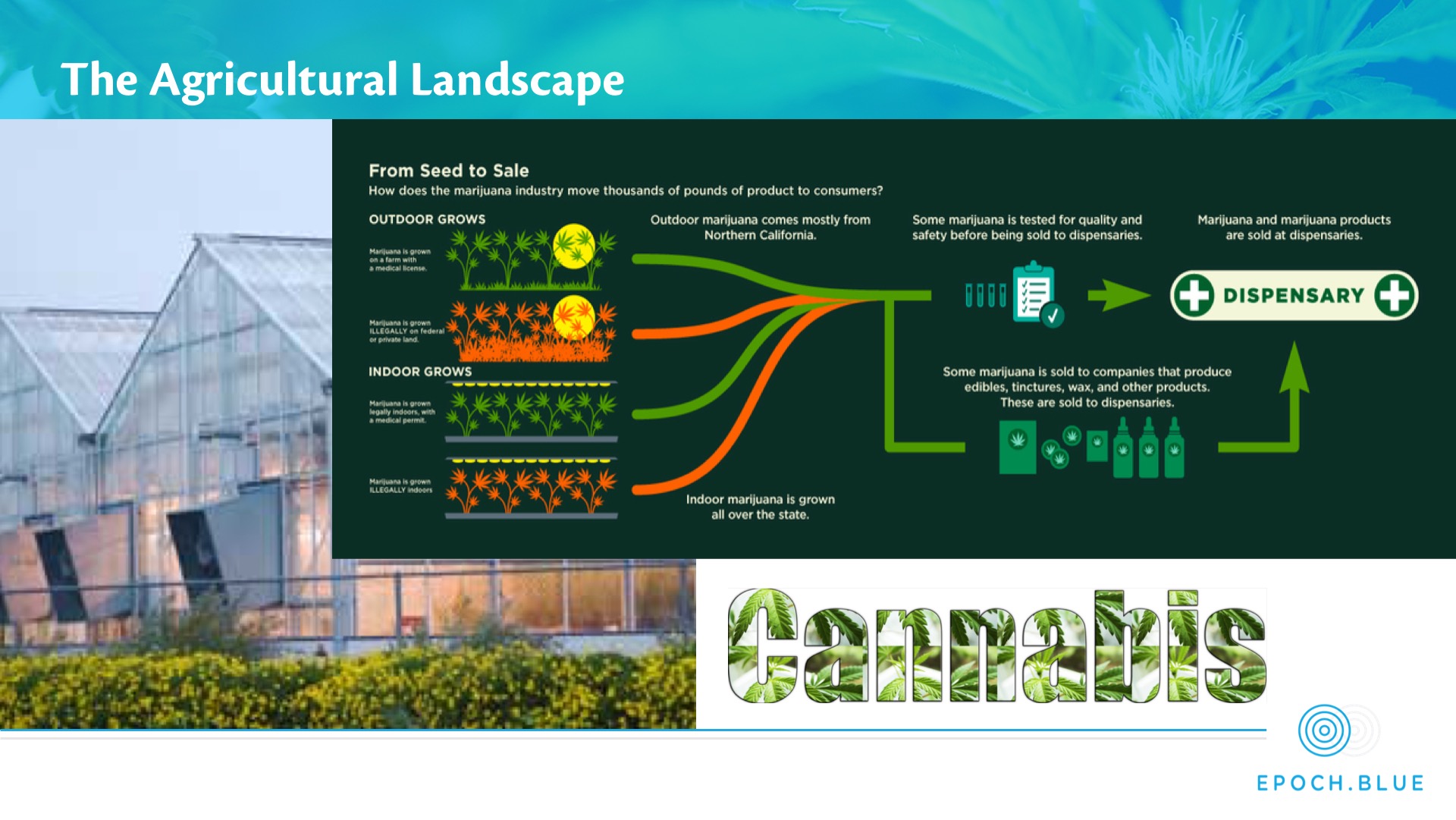 Epoch Blue Cannabis Investment Presentation