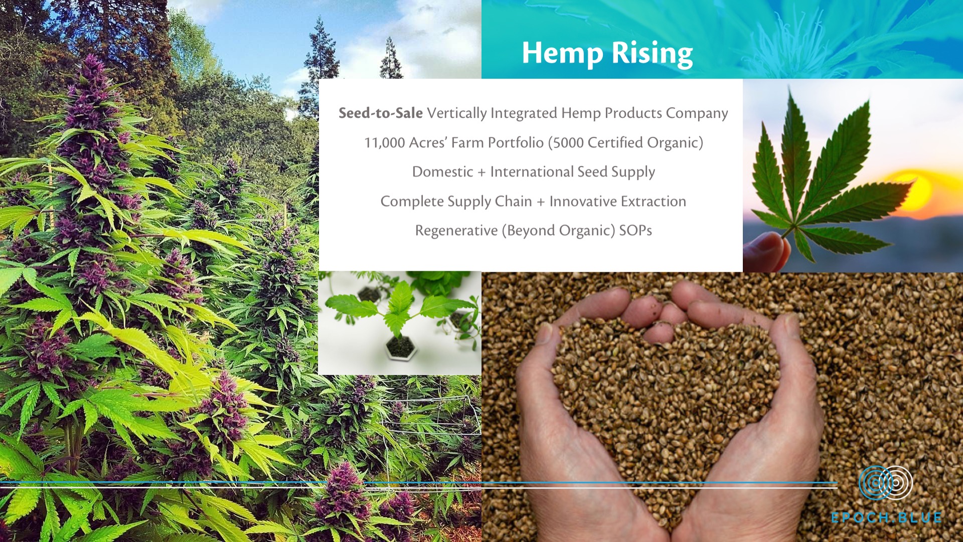 Epoch Blue Cannabis Investment Presentation