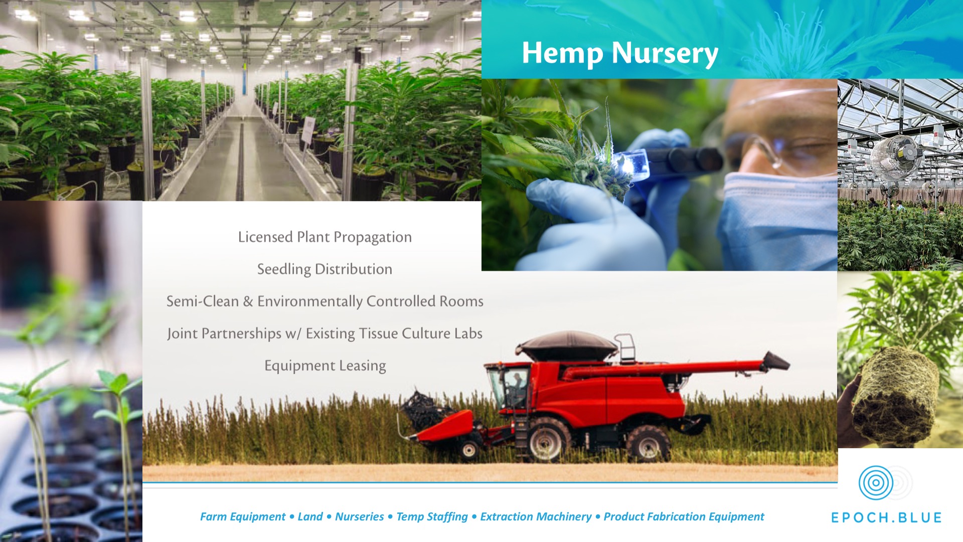 Epoch Blue Cannabis Investment Presentation