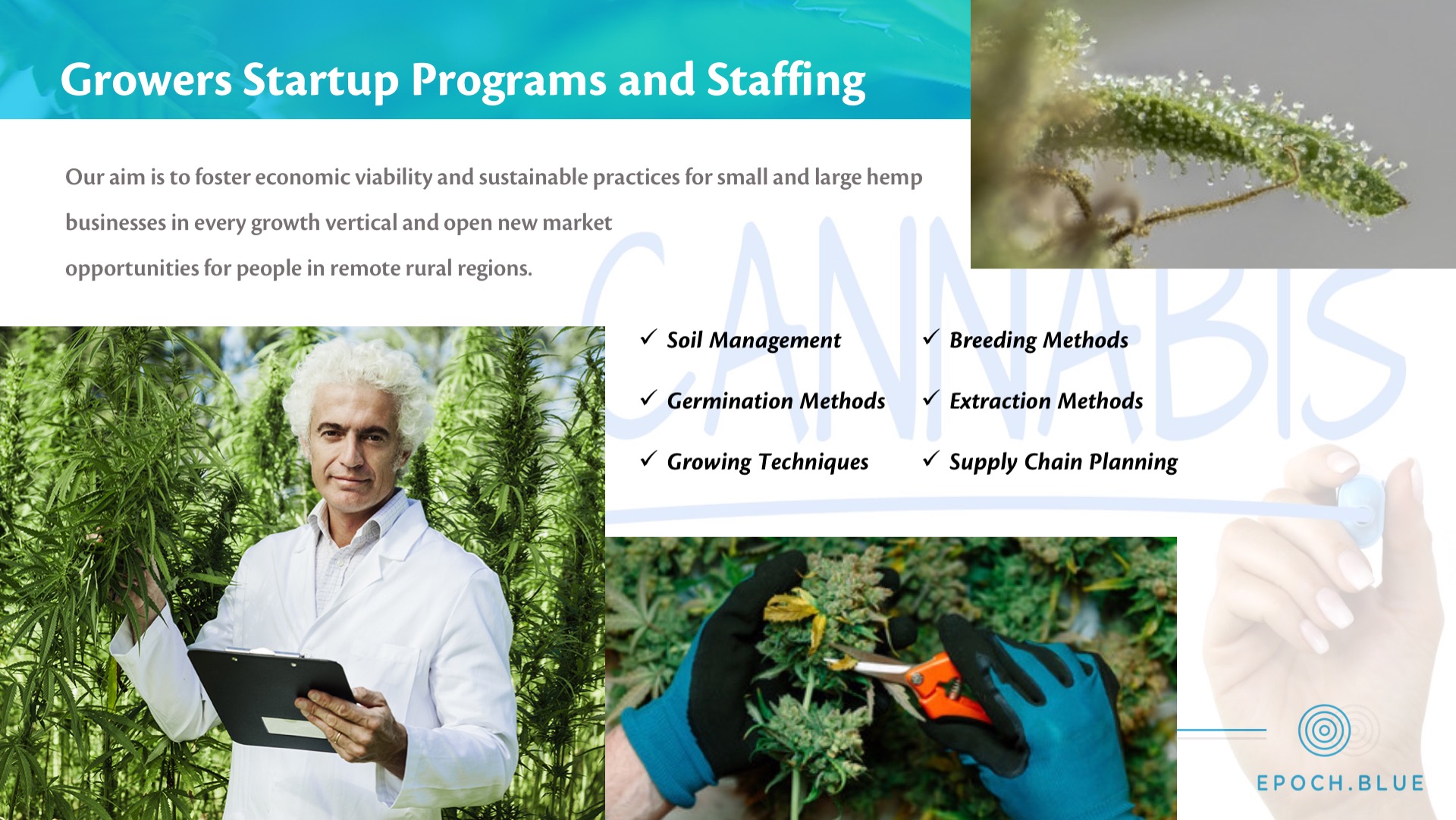 Epoch Blue Cannabis Investment Presentation