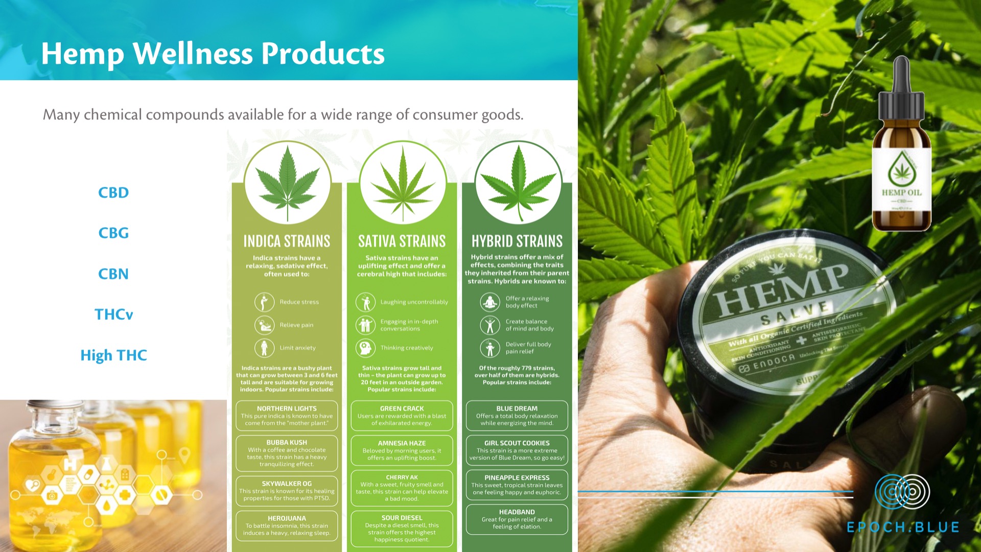 Epoch Blue Cannabis Investment Presentation