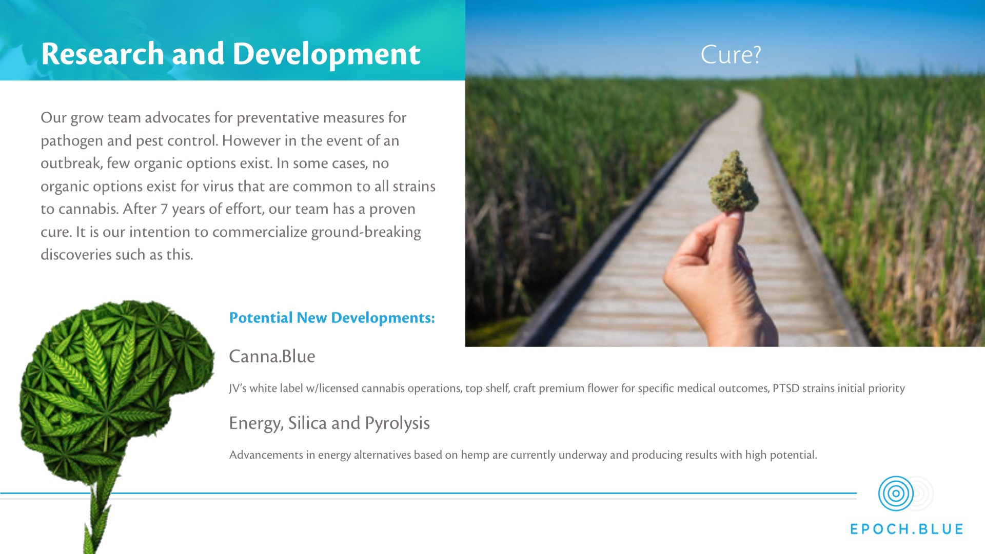 Epoch Blue Cannabis Investment Presentation
